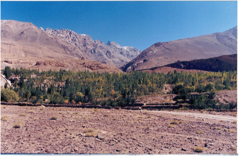 Project photo